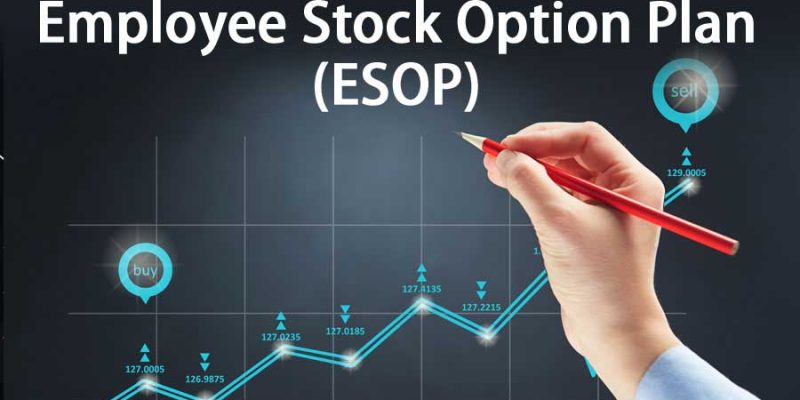 5-things-to-consider-when-choosing-an-employee-share-option-plan-esop